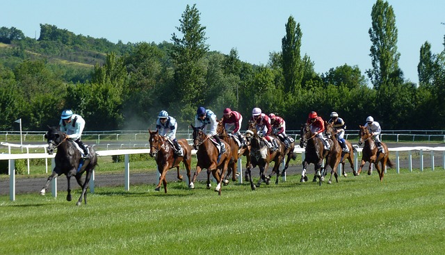 Apuestas en carreras